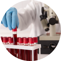 Book a Lab Test